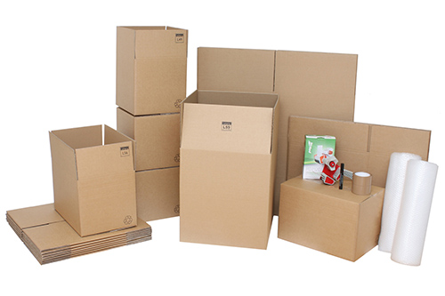 2-3 Bedroom House Moving Kit in Bangalore